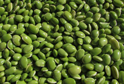 无需付费就能用的DDOS在线攻击