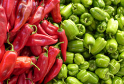 无需繁琐设置的DDOS网页端